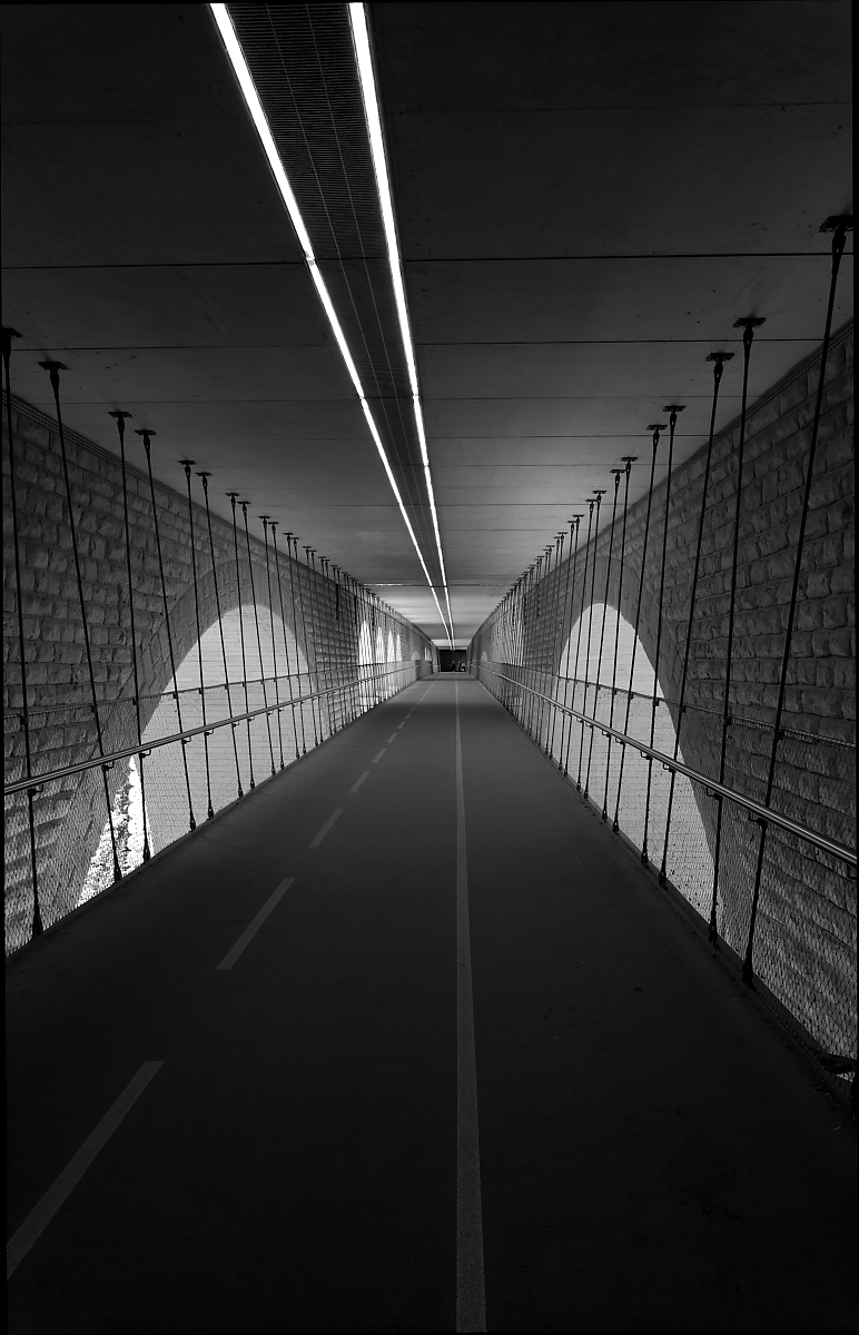Tunnelvisie